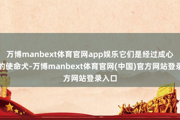 万博manbext体育官网app娱乐它们是经过成心进修的使命犬-万博manbext体育官网(中国)官方网站登录入口