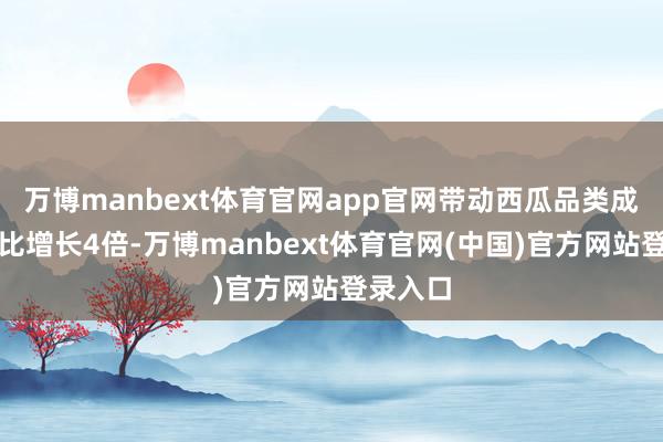 万博manbext体育官网app官网带动西瓜品类成交额同比增长4倍-万博manbext体育官网(中国)官方网站登录入口